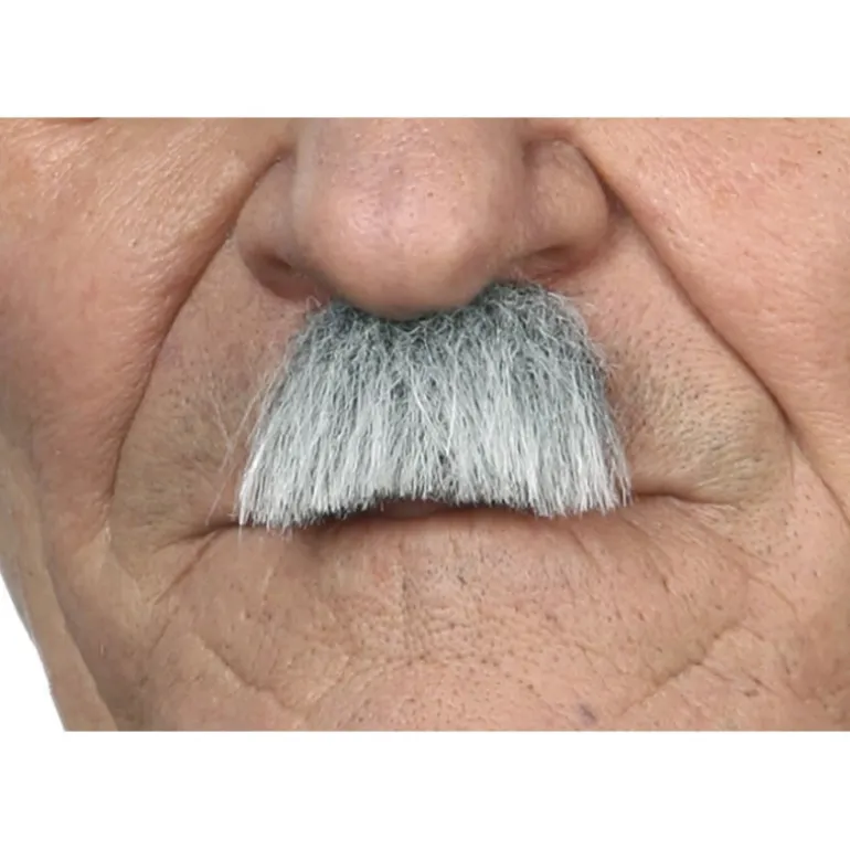 Bigote de Charlot gris