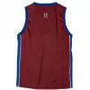 Camiseta Basketball Spiderman