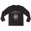 Camiseta infantil manga larga Harry Potter