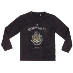 Camiseta infantil manga larga Harry Potter