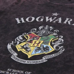 Camiseta infantil manga larga Harry Potter