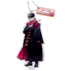 Colgante de Acrílico Harry Potter en Caja Sorpresa