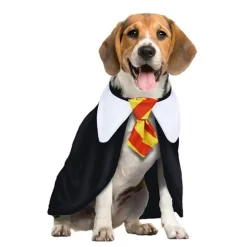Disfraz de Harry Potter para Perro Gryffindog