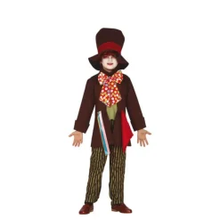 Disfraz de Sombrerero Loco para niños