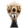 El Señor de los Anillos Estatua Skull of a Warg 20 cm de WETA