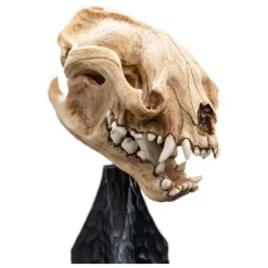 El Señor de los Anillos Estatua Skull of a Warg 20 cm de WETA