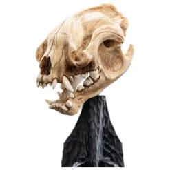 El Señor de los Anillos Estatua Skull of a Warg 20 cm de WETA