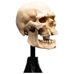 Estatua Calavera de Orco de Mordor 14 cm El Señor de los Anillos