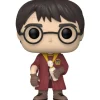 Funko Pop! Harry Potter 20º aniversario