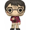 Funko Pop! Harry Potter con La Piedra Filosofal