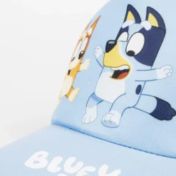 Gorra Visera Curva Bluey