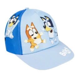 Gorra Visera Curva Bluey