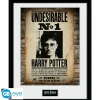 Harry Potter - Cuadro enmarcado "Undesirable No 1" 30x40 cm