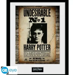 Harry Potter - Cuadro enmarcado "Undesirable No 1" 30x40 cm