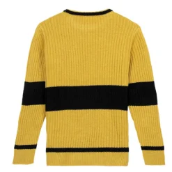 Jersey Punto Harry Potter Hufflepuff