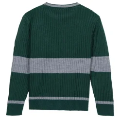 Jersey Punto Harry Potter Slytherin