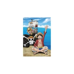 Manta Polar One Piece Luffy