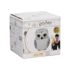 Mini macetero o portalapiceros Harry Potter Hedwig
