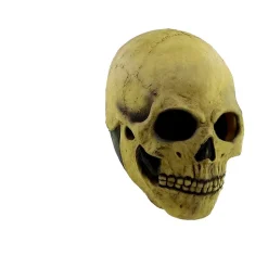 Máscara Cráneo De Hueso Talla Única