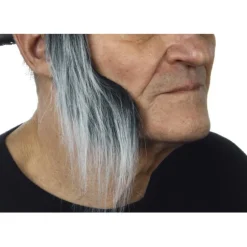 Patillas anchas con pelo canoso