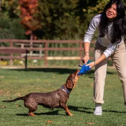 Peluche para perro Pelota Stitch