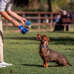 Peluche para perro Pelota Stitch