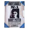 Poster vidrio Indeseable nº1 Harry Potter
