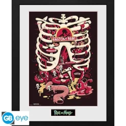 Póster Enmarcado Rick and Morty Anatomy Park 30x40cm