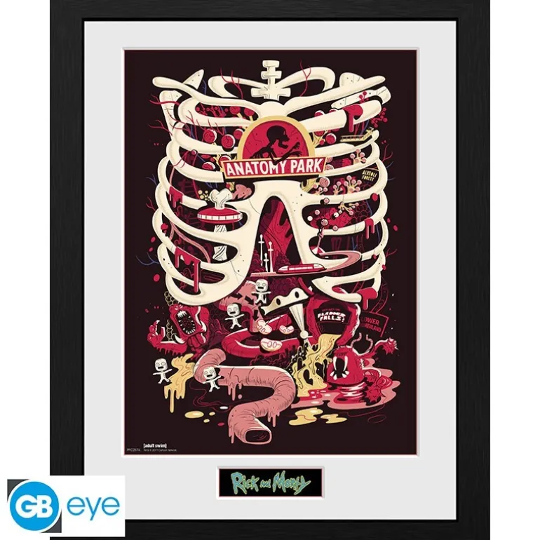 Póster Enmarcado Rick and Morty Anatomy Park 30x40cm