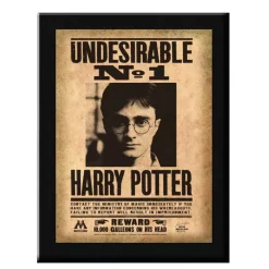 Replica Placa Undesirable N°1 Harry Potter
