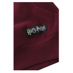 Sudadera Harry Potter niño Gryffindor Blackletter