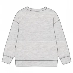 Sudadera Paw Patrol Cotton Brushed para Niños 3-6 Años