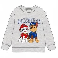 Sudadera Paw Patrol Cotton Brushed para Niños 3-6 Años