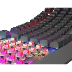 Teclado Gaming Genesis Thor230 TKL RGB